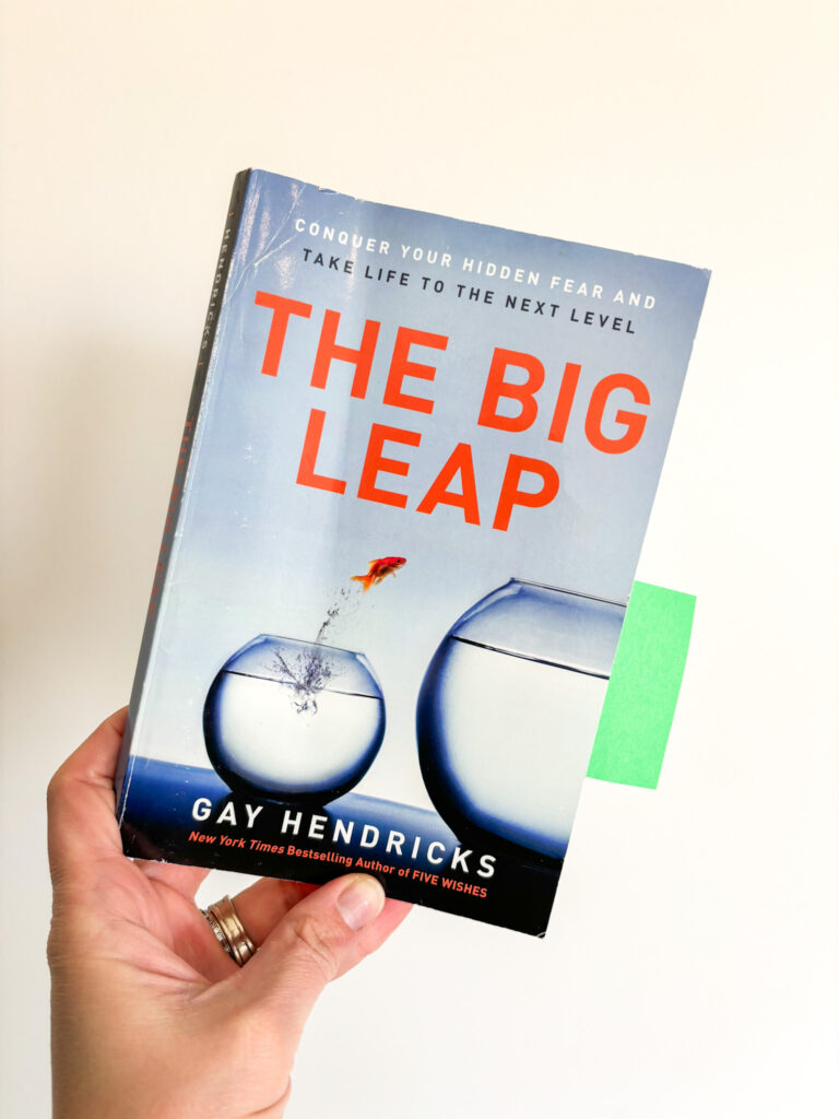 The Big Leap book being held up against a plain white background. The edges of the cover indicate wear.